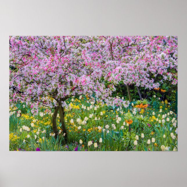 Die Frühlingszeit im Garten von Claude Monet Poster (Vorne)