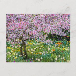 Die Frühlingszeit im Garten von Claude Monet Postkarte