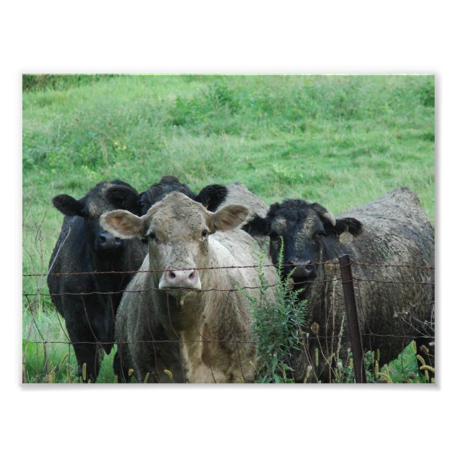 Die Führung Fotodruck (Vorne)