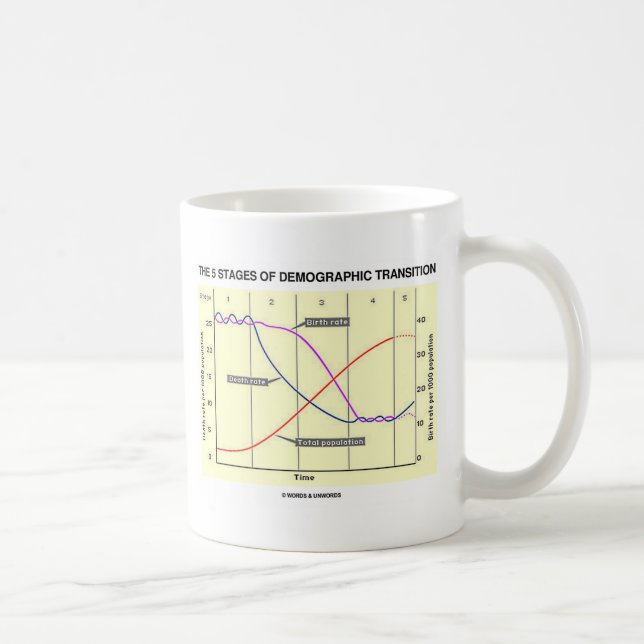 Die fünf Bühnen des demographischen Überganges Tasse (Rechts)