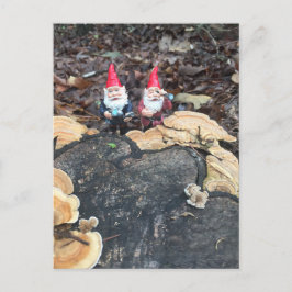 Die Fungus-Gnome Postkarte