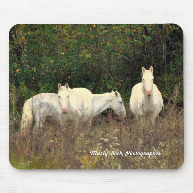 Die Gabel-wilde Pferdemausunterlage des Jacks Mousepad (Vorne)