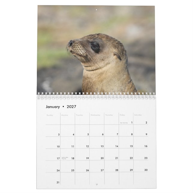 Die Galapagos - 12-monatiger Wandkalender (Jan 2027)