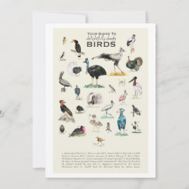 Die Galerie der bezaubernd doofy Birds 12x18 Card