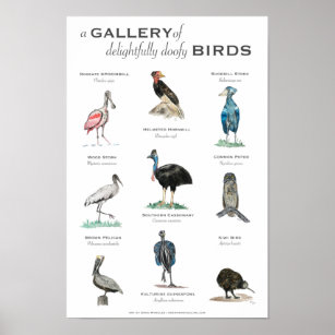 Die Galerie der erstaunlich doofy Birds 11x17 Poster