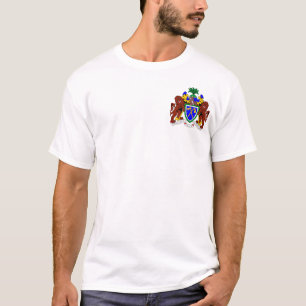 Die Gambia-Flagge T-Shirt