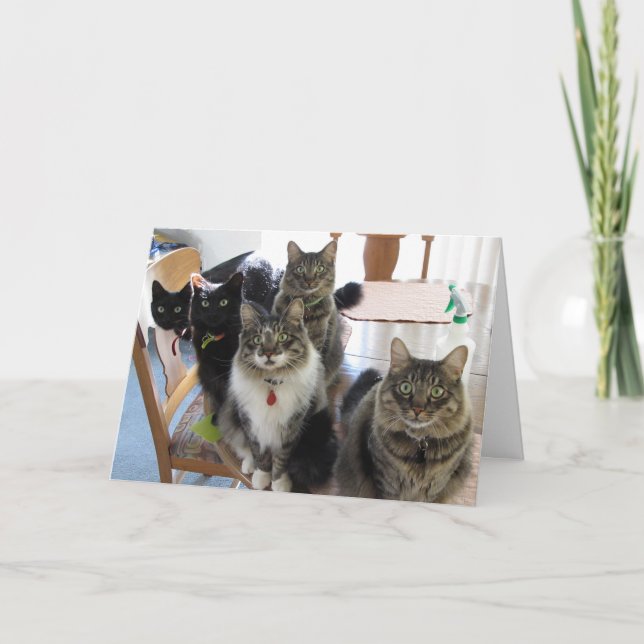 Die Gang Birthday Grußkarte Karte (Vorderseite)