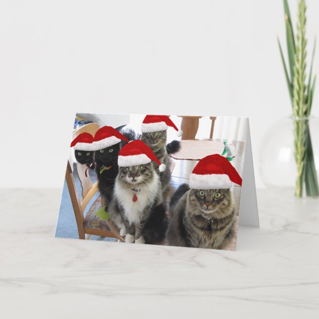 Die Gang frohe Weihnachtsgrüße Feiertagskarte (Vorderseite)