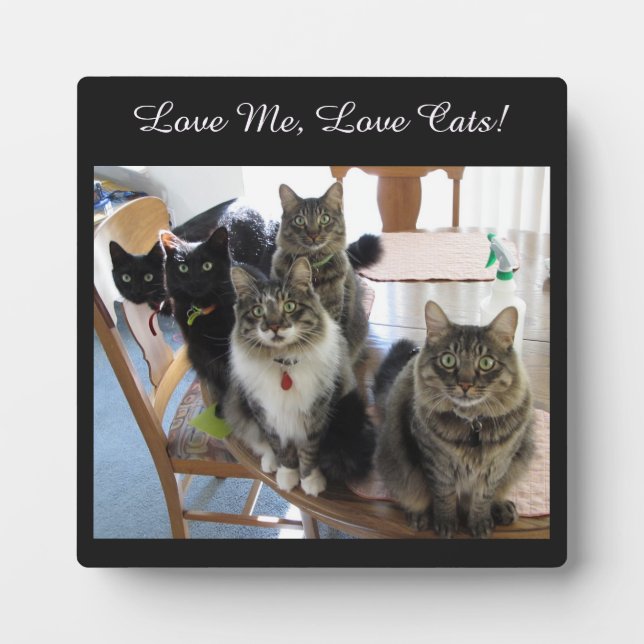 Die Gang Liebe Me Liebe Katzen Foto Plaque Fotoplatte (Vorderseite)