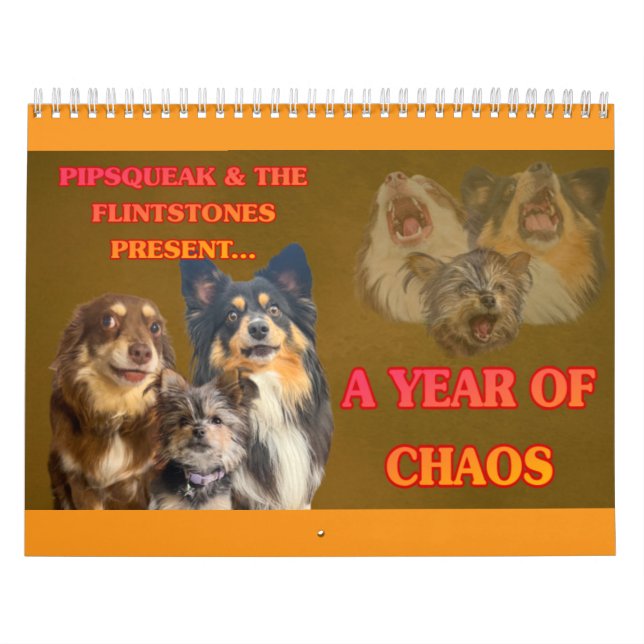 Die ganze Bande Kalender (Titelbild)