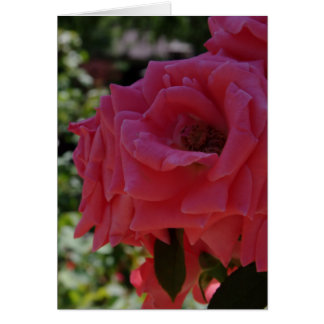 Die Garten-Karte