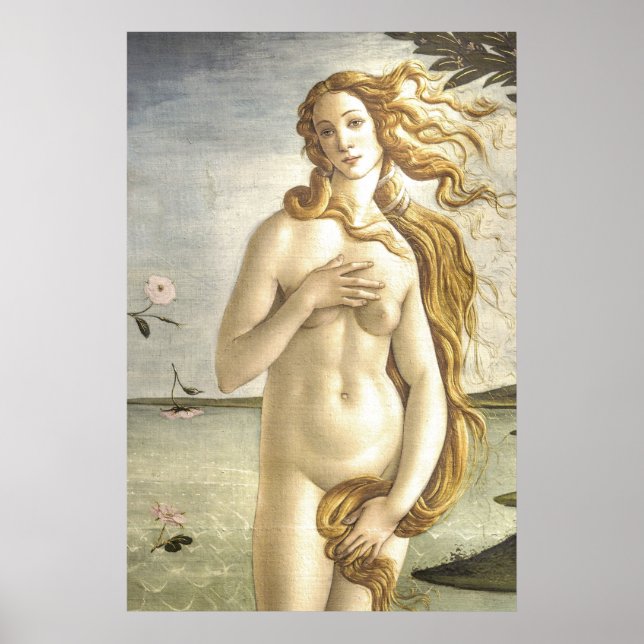 Die Geburt der Venus von Sandro Botticelli Poster (Vorne)