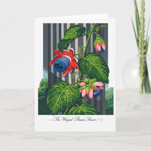 Die geflügelte Passionsblume — Moderne botanische  Karte