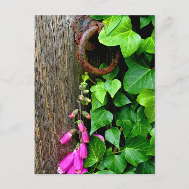 DIE GEHEIMTÜR POSTKARTE (Vorderseite)