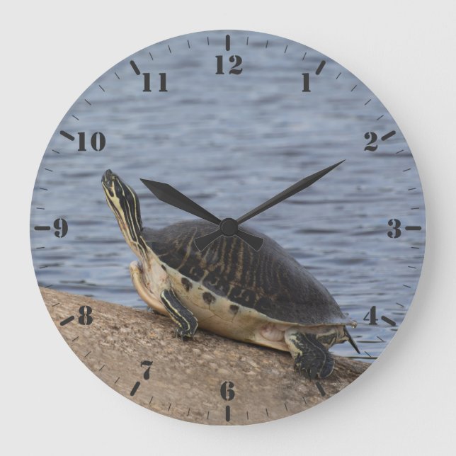 Die Gelbbelag-Schildkröte Große Wanduhr (Vorderseite)