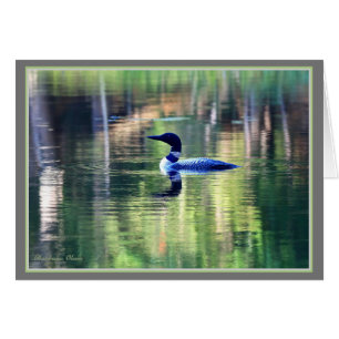 Die gemeinsamen Löwenkehre zum Waldenteich