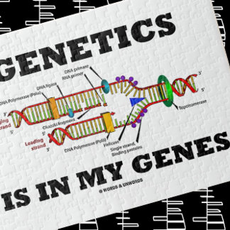 Die Genetik steckt in meinem DNA-Replikations-Spaß Puzzle