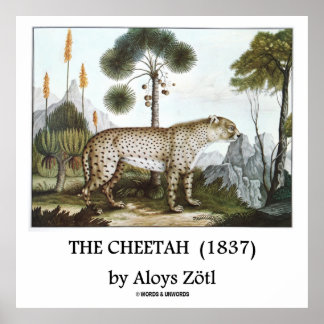 Die Geparde (1837) von Aloys Zötl Poster