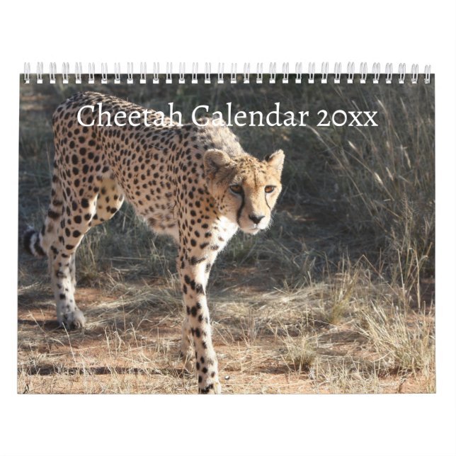 Die Geparden (Acinonyx Jubatus) Kalender (Titelbild)