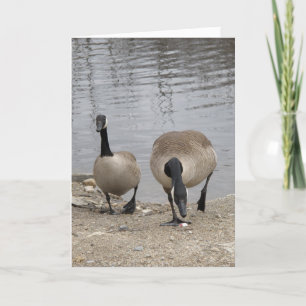 Die gerade zwei von uns feiertagskarte