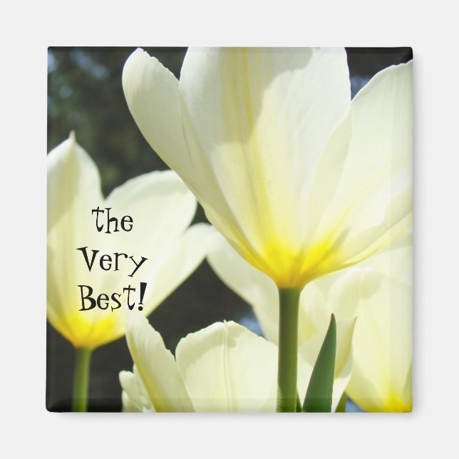 Die Geschenke von Boss mit dem allerbesten Magnete (Vorne)