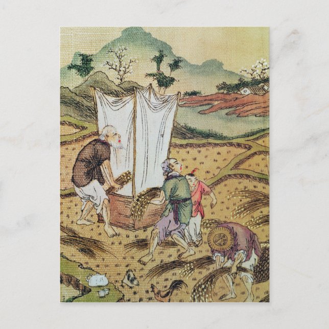 Die Geschichte von Reis Postkarte (Vorderseite)