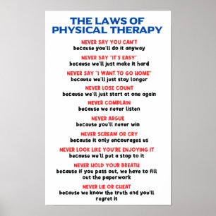 Die Gesetze der Physikalischen Therapie - Funny Mo Poster