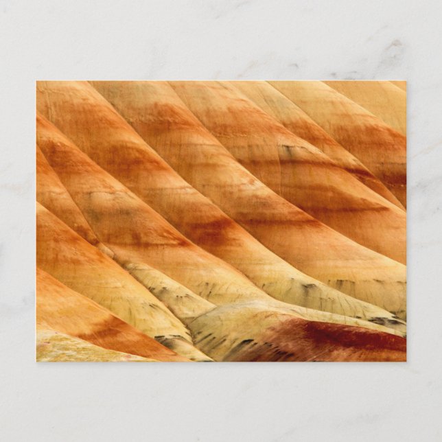 Die gestrichenen Hügel in den John Day Fossil Bett Postkarte (Vorderseite)