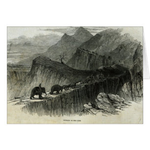 Die Gewehre oben holen