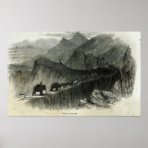 Die Gewehre oben holen Poster