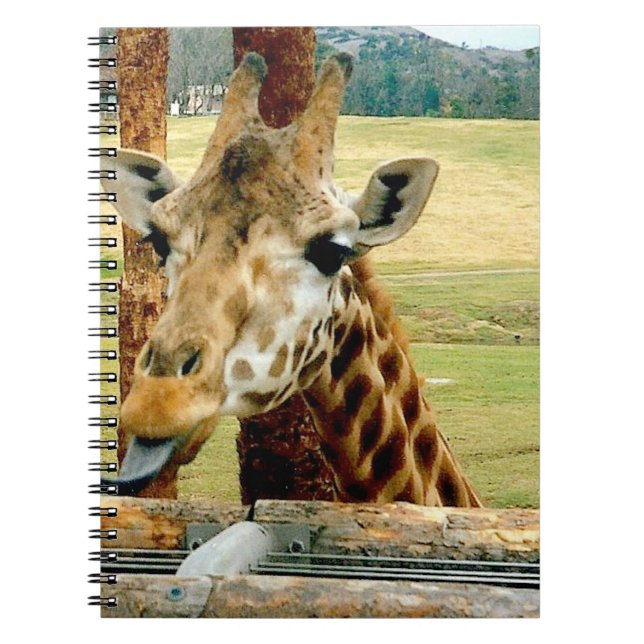 Die Giraffe, die es haftet, ist Zunge-heraus Notizblock (Vorderseite)
