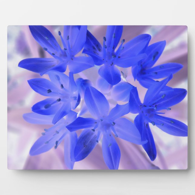 Die Glorie der schneebedeckenden blauen Plaque Fotoplatte (Vorderseite)