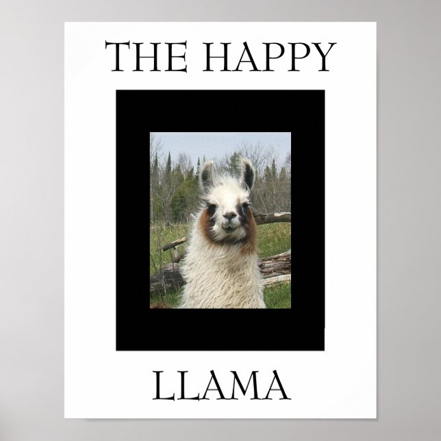 DIE GLÜCKLICHE LLAMA POSTER (Vorne)