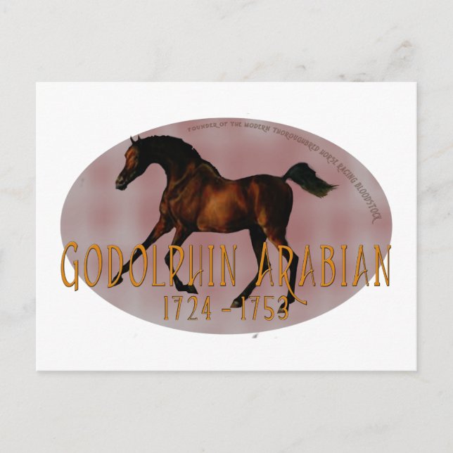 Die Godolphin Arabian Postkarte (Vorderseite)