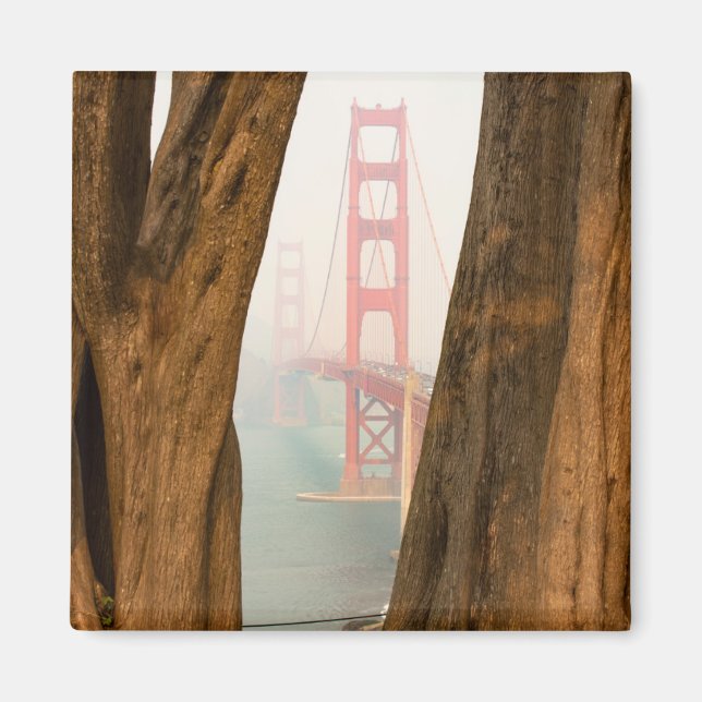 Die Golden Gate Bridge | Bäume aus Übersichtsansic Magnet (Vorne)