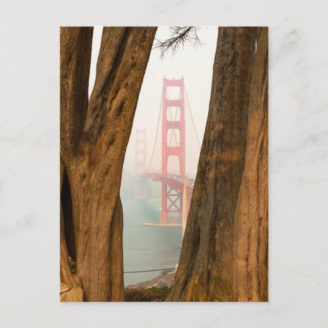 Die Golden Gate Bridge | Bäume aus Übersichtsansic Postkarte (Vorderseite)