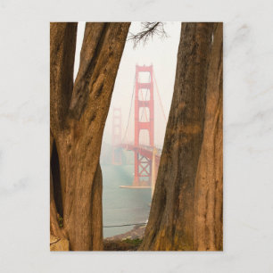 Die Golden Gate Bridge   Bäume aus Übersichtsansic Postkarte