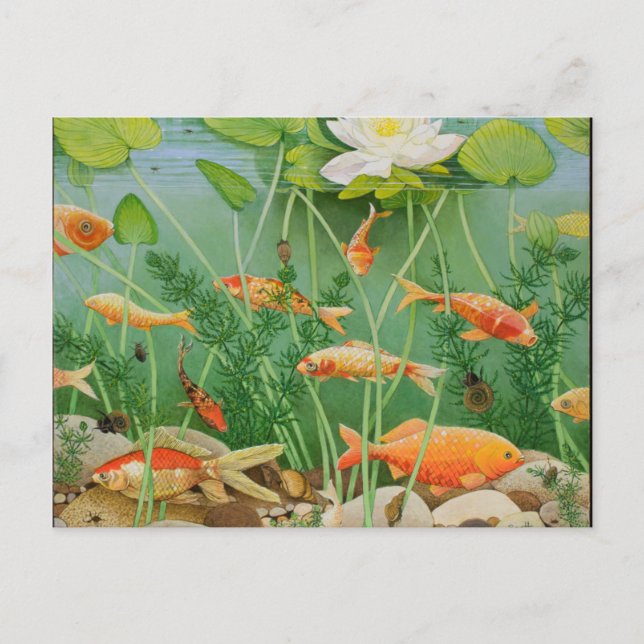 Die Goldene Touch 2011 Postkarte (Vorderseite)