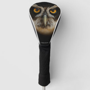 Die goldenen Augen eines spektakulären Eule Golf Headcover