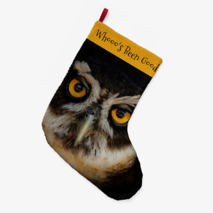 Die goldenen Augen eines spektakulären Eule Großer Weihnachtsstrumpf