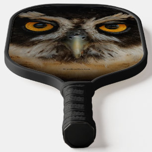 Die goldenen Augen eines spektakulären Eule Pickleball Schläger