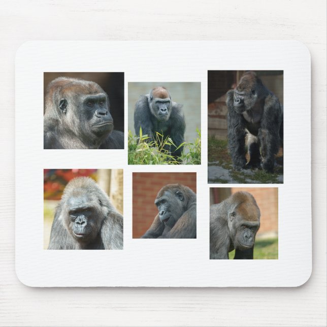 Die Gorilla-Truppe Mousepad (Vorne)