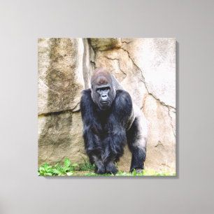 Die Gorillas gerettet Leinwanddruck