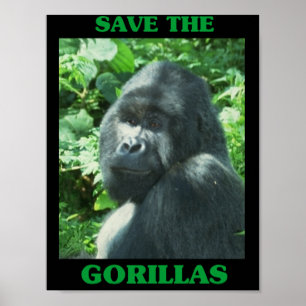 Die Gorillas gerettet Poster