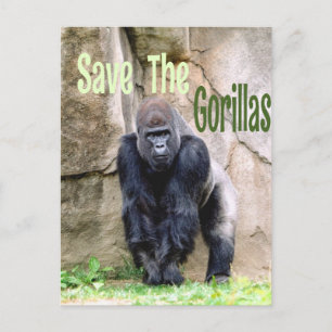 Die Gorillas gerettet Postkarte