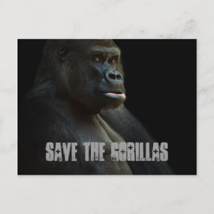 Die Gorillas gerettet Postkarte
