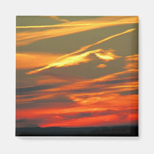 Die Grafik der Natur Magnet