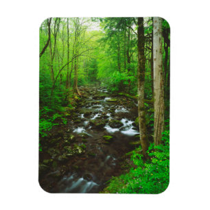 Die Great Smoky Mountains Magnet