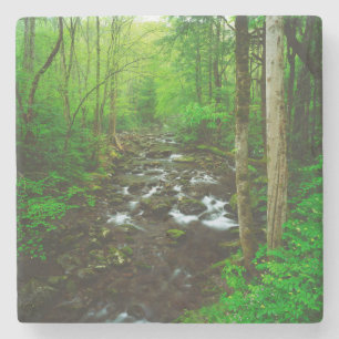 Die Great Smoky Mountains Steinuntersetzer