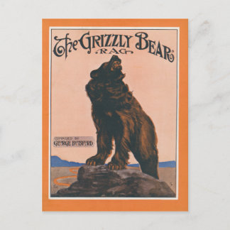 Die Grizzlybären-Rag Postkarte